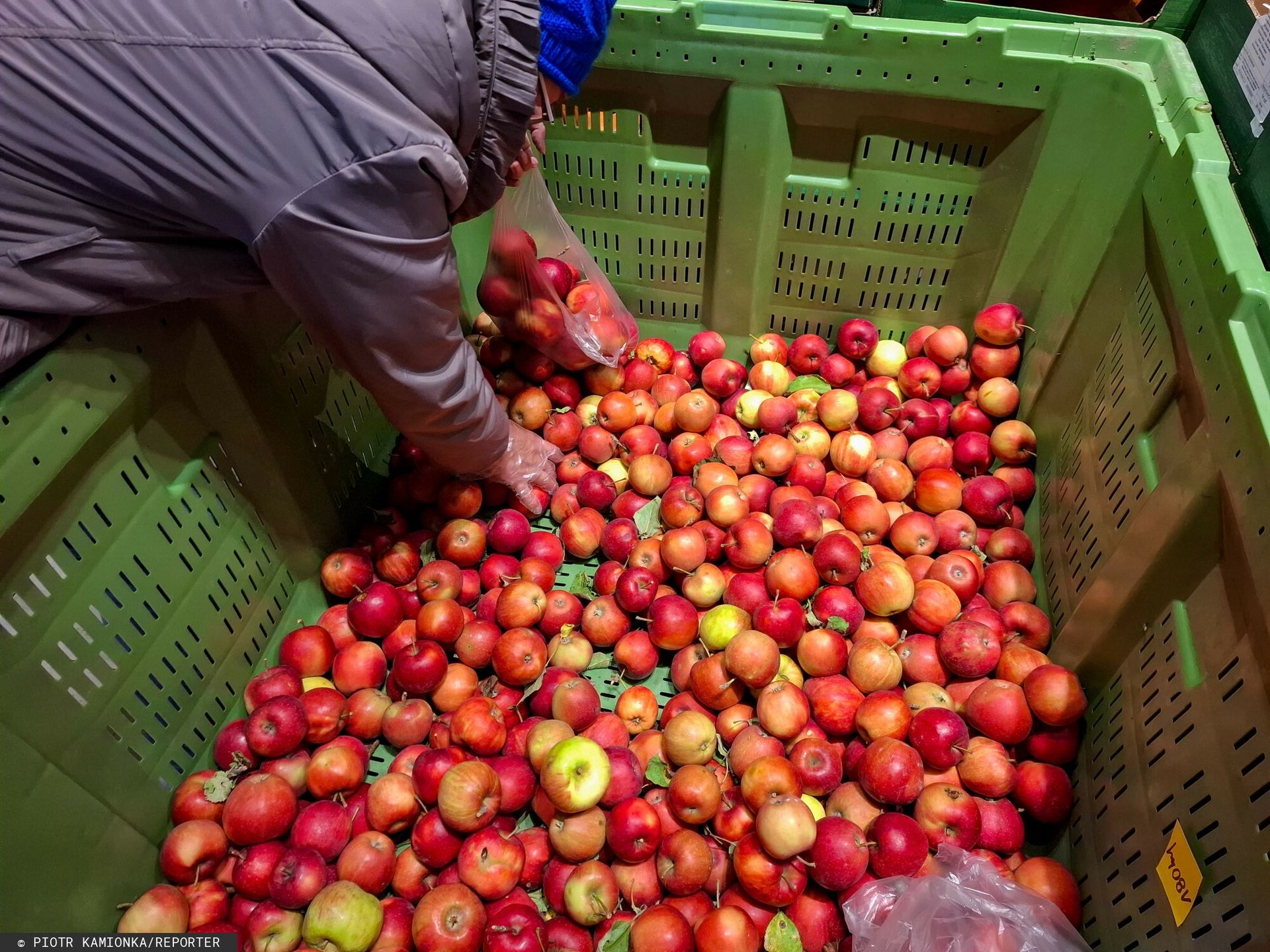 Porównali jabłka w smaku. Oto zwycięzca degustacji