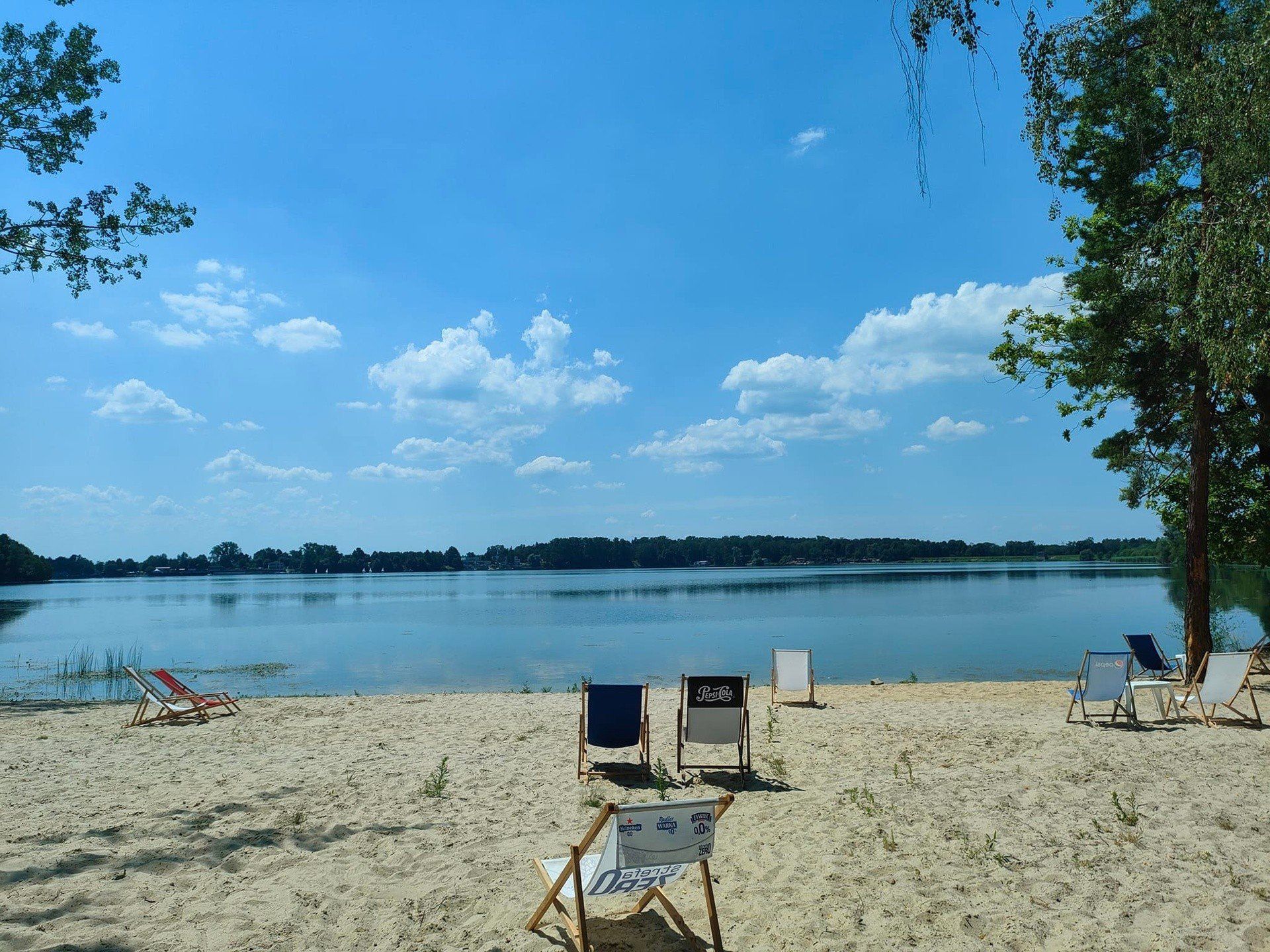 Tajemnicza plaża w lesie pod Gliwicami? Zobaczcie