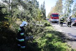 Pogoda. Wichury przeszły przez Polskę. Wiatr zrywał dachy i linie energetyczne