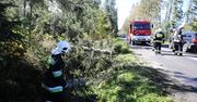 Pogoda. Wichury przeszły przez Polskę. Wiatr zrywał dachy i linie energetyczne