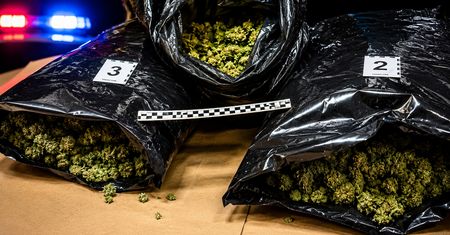Pomyłkowo doręczona przesyłka. Wpadka narkotykowa w Pile i Chodzieży