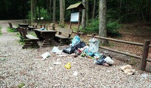 Wakacje w Polsce. Problem śmieci w lasach wraca jak bumerang