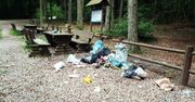 Wakacje w Polsce. Problem śmieci w lasach wraca jak bumerang
