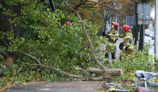 Siedem osób rannych. Strażacy interweniowali ponad 1700 razy