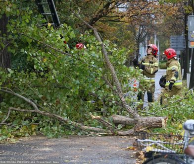 Siedem osób rannych. Strażacy interweniowali ponad 1700 razy