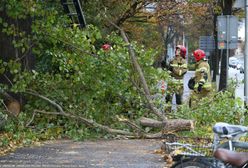 Siedem osób rannych. Strażacy interweniowali ponad 1700 razy