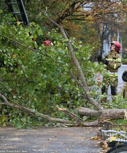 Siedem osób rannych. Strażacy interweniowali ponad 1700 razy