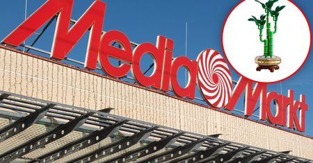 Lego Botanicals za 119,99 zł. Media Markt proponuje prezenty na Dzień Kobiet