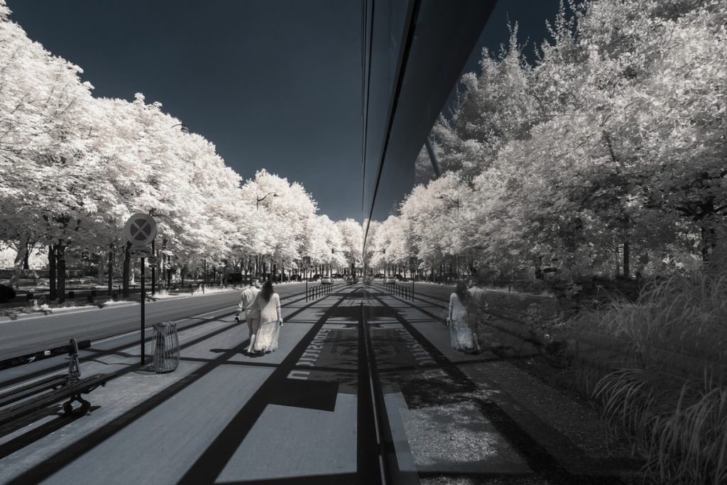 Zobacz świat w podczerwieni. Oto najlepsze zdjęcia z konkursu "Life in another light" 24