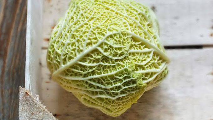 Gołąbki dla alergika