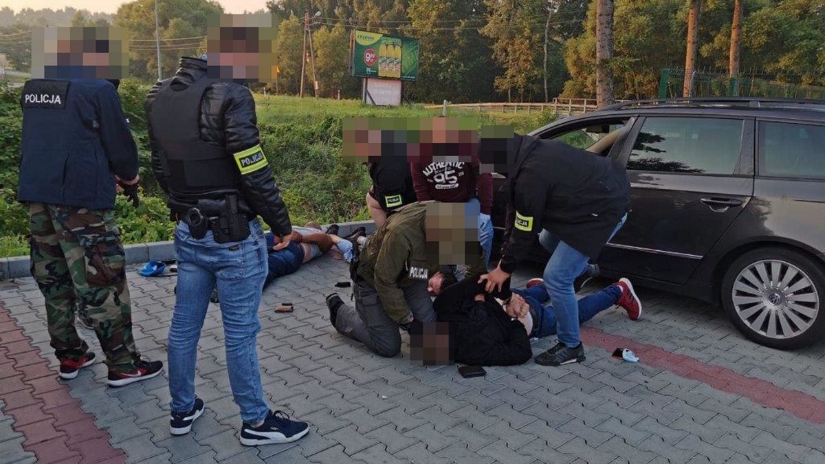 policja rozbiła szajkę obcokrajowców