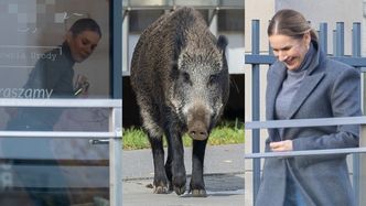 Marta Nawrocka pojechała na pazy za 140 złotych. Hołd pierwszej damie złożyła przed salonem rodzinka dzików