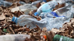 Kazimierz Biskupi: Daniel w lesie zaplątał się w śmieci