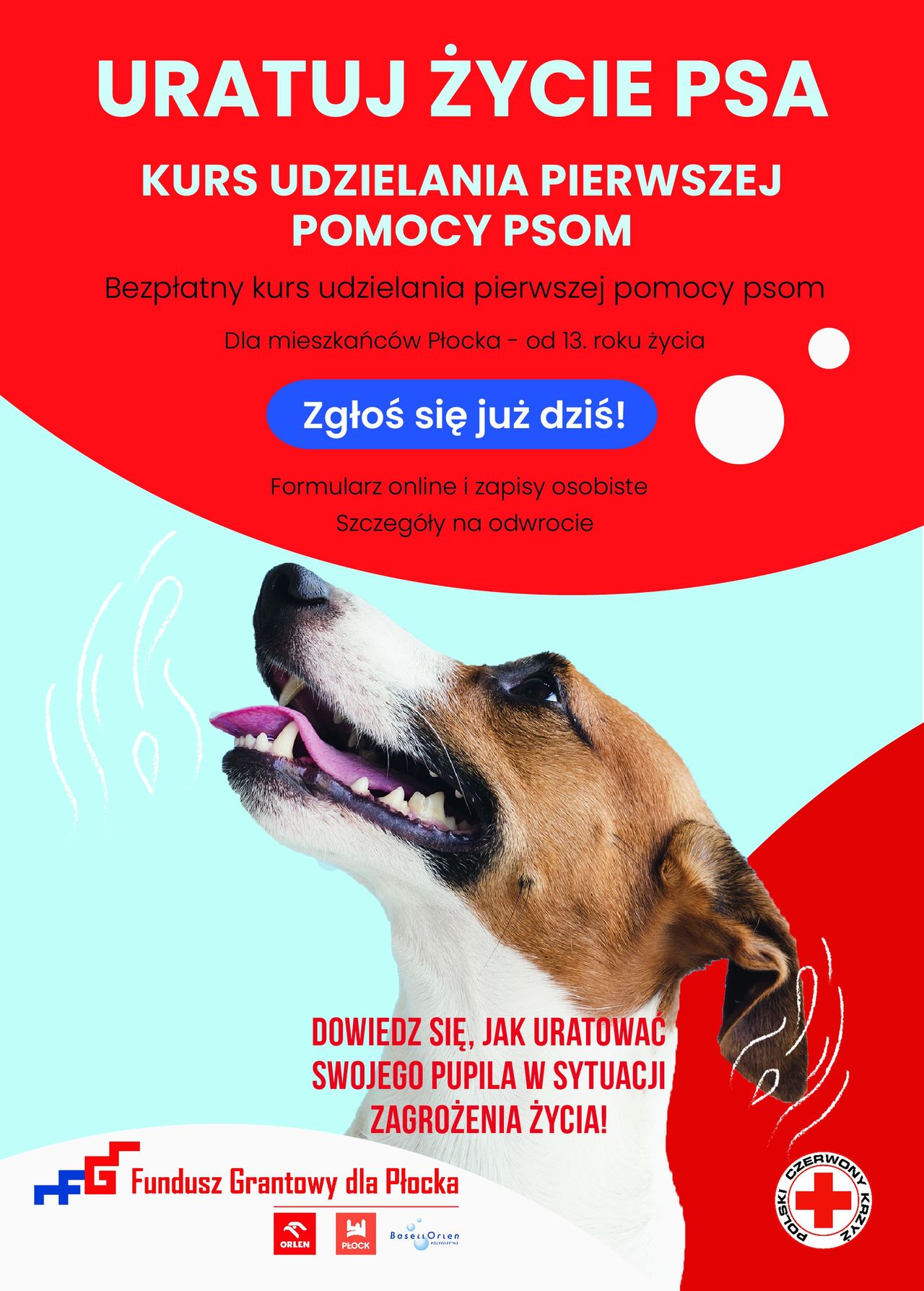 Uratuj życie psa