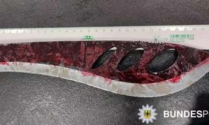 Polak zatrzymany w niemieckim pociągu. Miał przy sobie maczetę