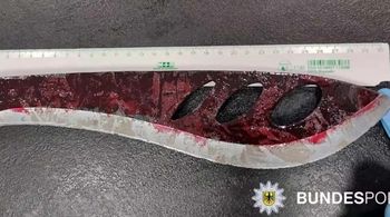 Polak zatrzymany w niemieckim pociągu. Miał przy sobie maczetę