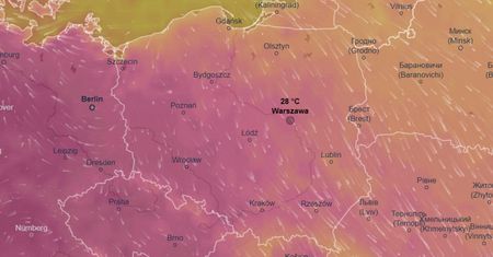Uwaga! Evi w Polsce. To oznacza jedno