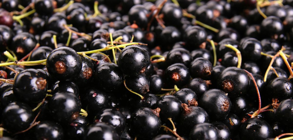 Zmowa cenowa w Wielkopolsce? Prezes UOKiK stawia zarzuty