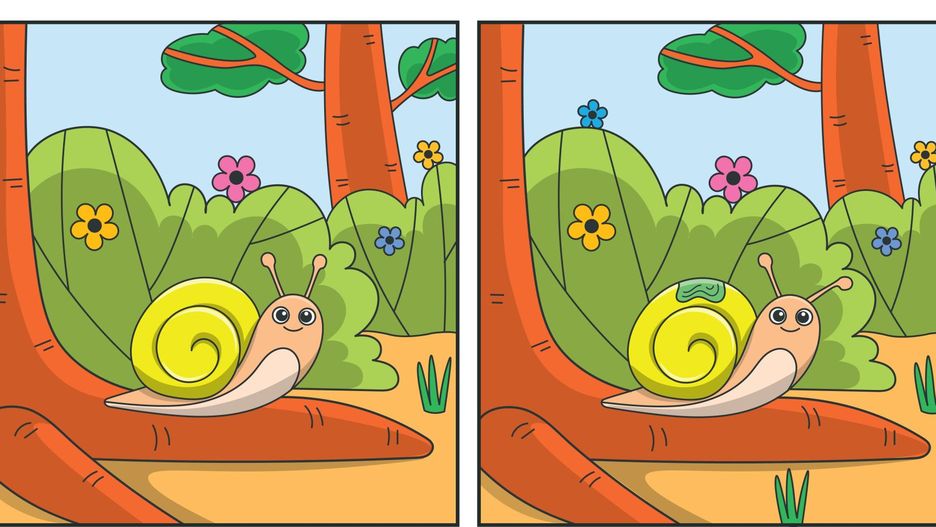 Sprawdź spostrzegawczość dziecka. Prawdziwy bystrzak rozwiąże to zadanie w 30 sekund