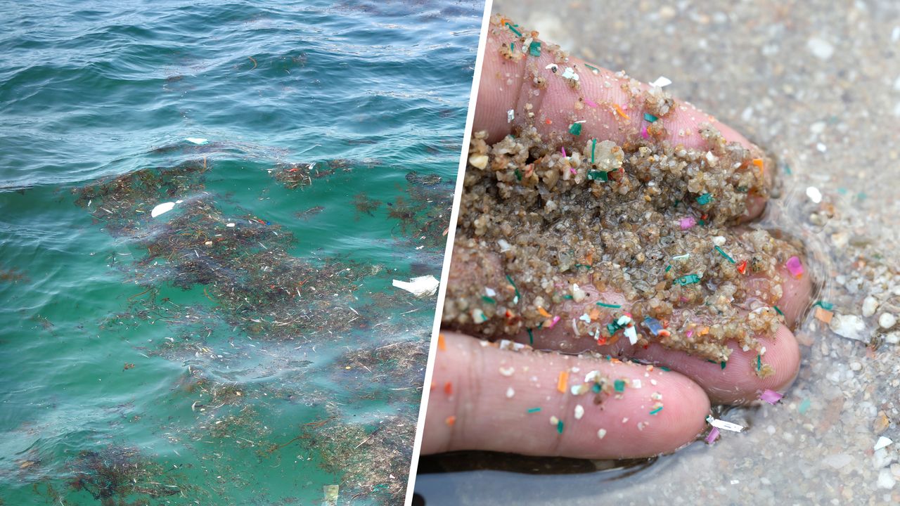 Robotyczna ryba "zjadająca" mikroplastik. Chińczycy pracują nad wynalazkiem, który pomoże oczyszczać oceany