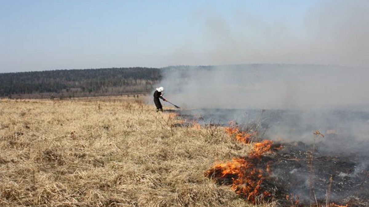 Zdjęcie ilustracyjne.