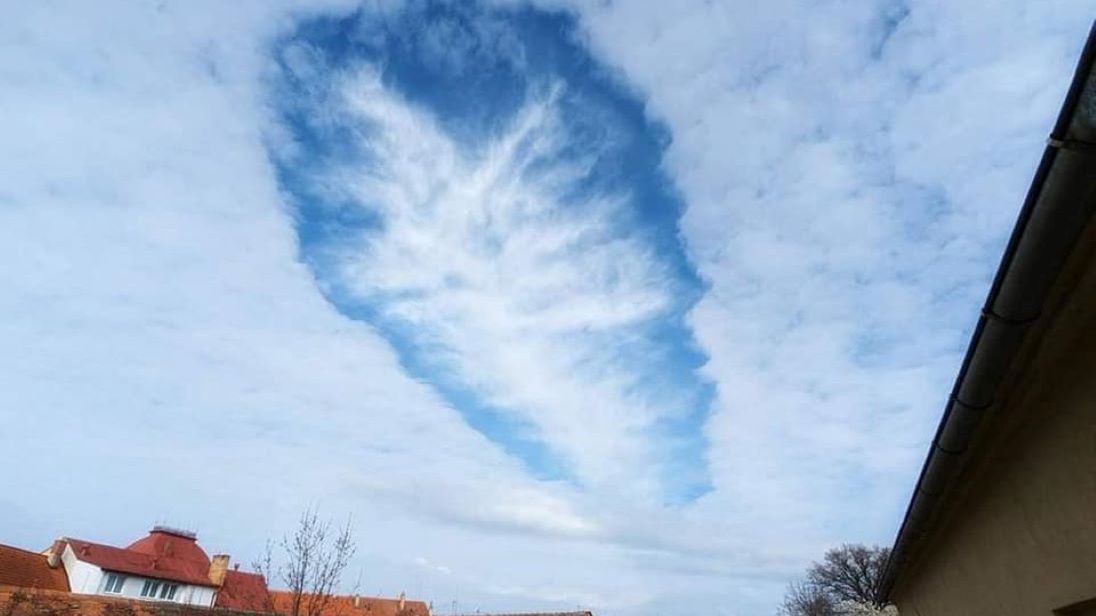 Cavus pojawił się na niebie w południowych Czechach 