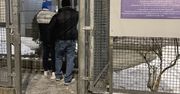 Narzędzia do skoków i biały proszek w bagażniku. Policja rozbiła zagraniczną grupę przestępczą