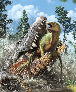 Dinozaur w żołądku krokodyla. Zaskakujące odkrycie w skamielinie sprzed 95 mln lat