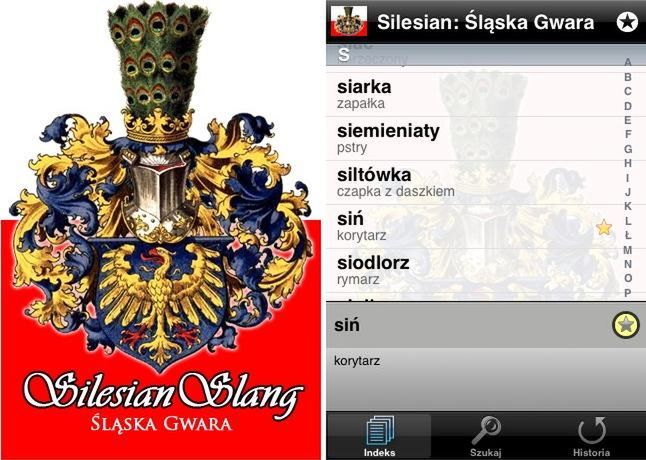 Silesian - podręczny słownik gwary śląskiej