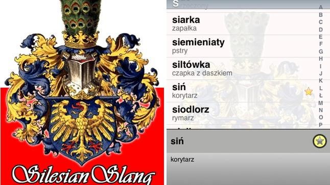 Silesian - podręczny słownik gwary śląskiej 1