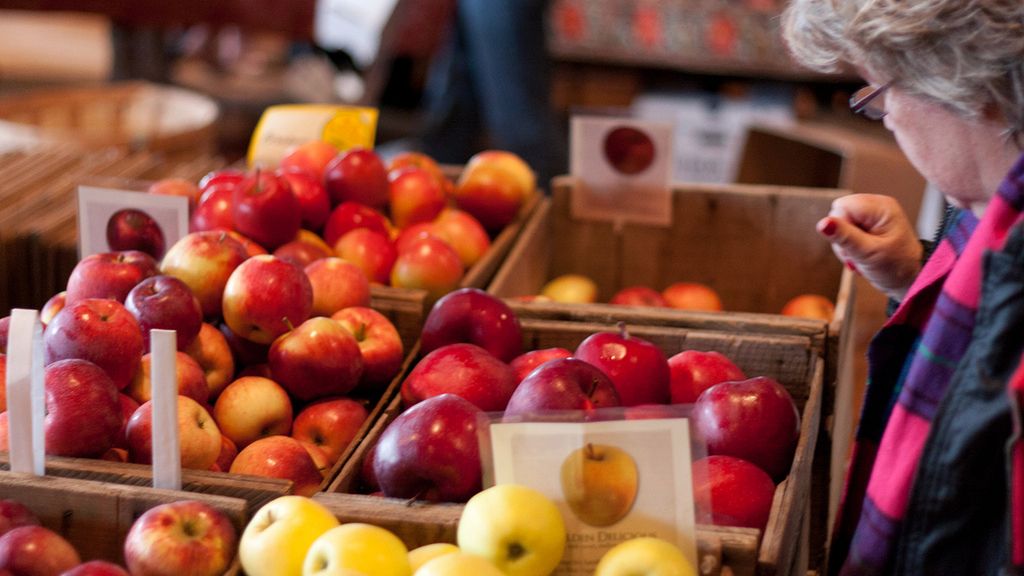 16 października Światowy Dzień Żywności