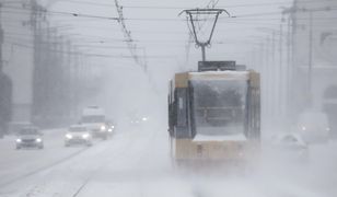 Tramwaj zabił kobietę. Koszmar w Poznaniu