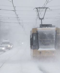 Tramwaj zabił kobietę. Koszmar w Poznaniu