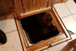 Częstochowa. Jego kawałek podłogi. Policyjny nos nie zawiódł, zajrzeli pod...