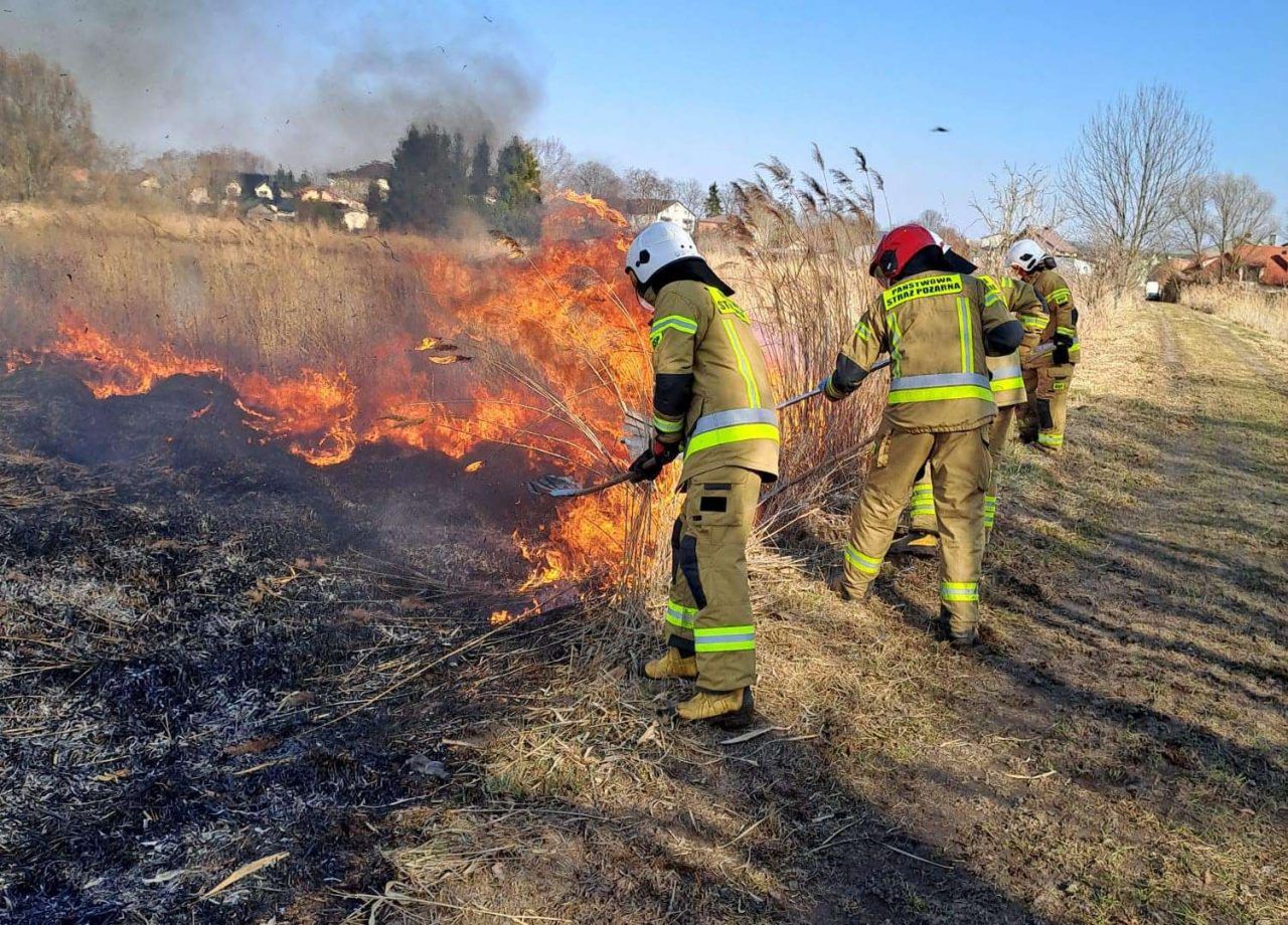 Lubelskie: Strażacy alarmują. Gwałtowny wzrost pożarów traw