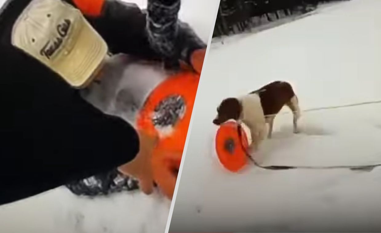 Hero dog and quick-thinking officer save man from icy Michigan lake