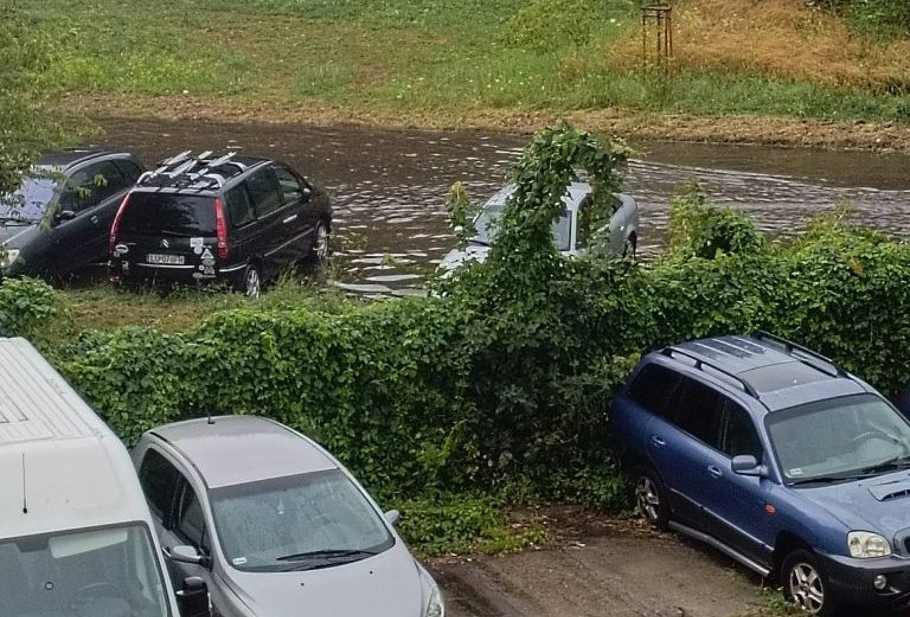 Koszmarna niedziela na Lubelszczyźnie. Padły zwierzęta