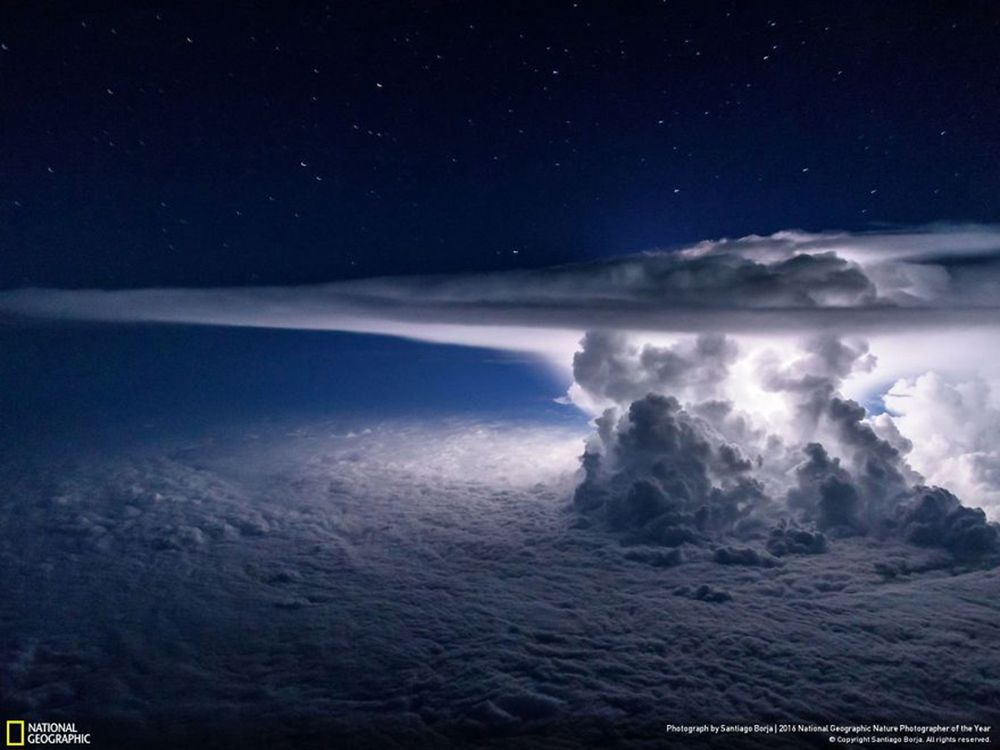 Fotografie natury, która nie przestaje zachwycać. Oto finałowe prace konkursu National Geographic Nature Photographer of the Year 2016 9
