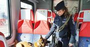Łódź: Ćwiczenia służb mundurowych na kolei