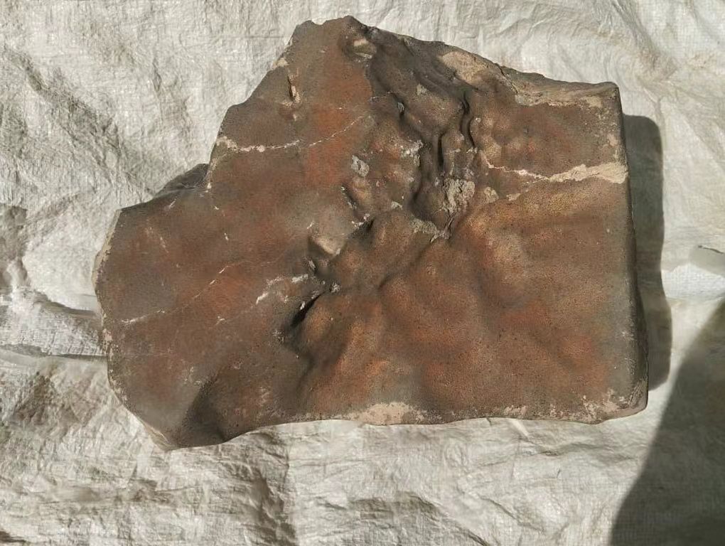 Awantura o największy meteoryt z Marsa na Ziemi. Afrykański kraj wszczyna śledztwo