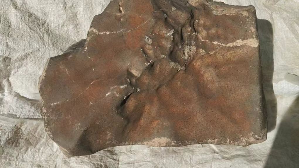 NWA 16788 - największy w historii meteoryt z Marsa
