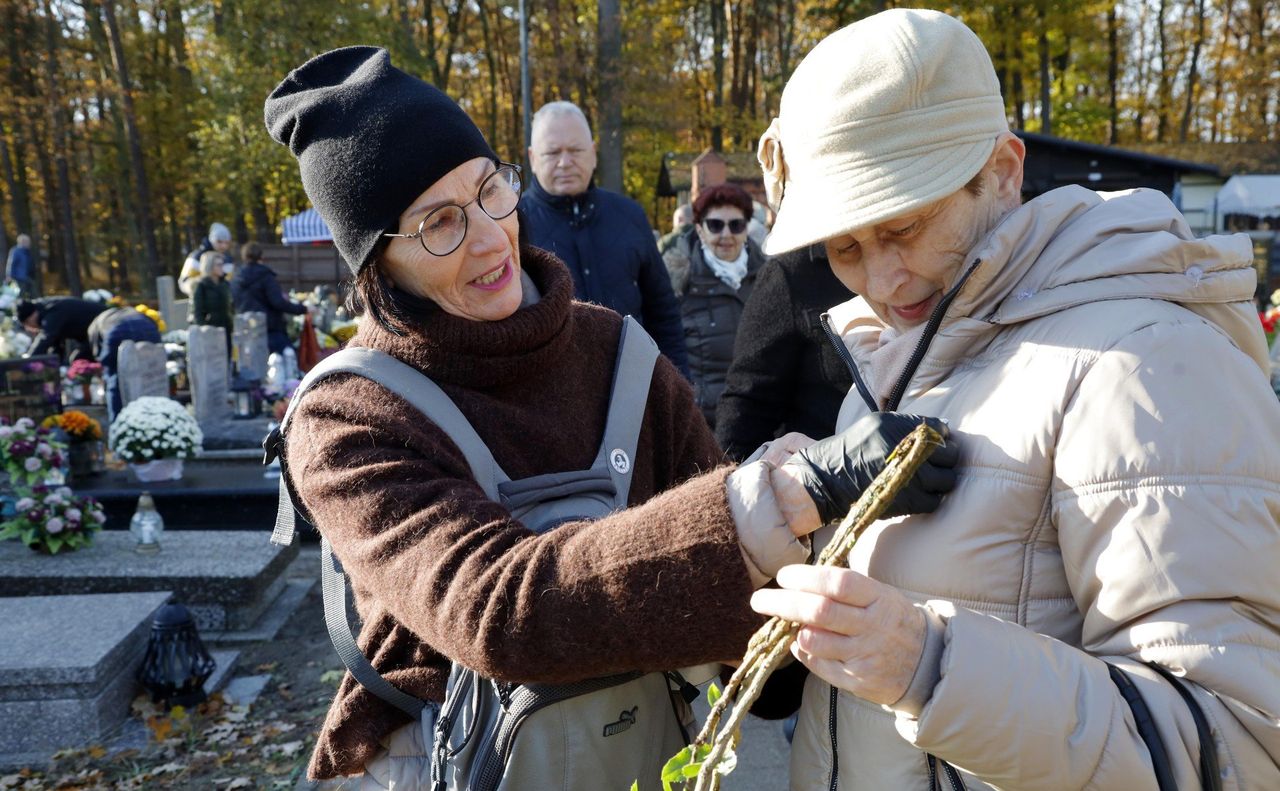 Grudziądz: Odwiedzający cmentarz chętnie wspierają zbiórkę