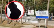 Zwłoki noworodka w reklamówce. Prokuratura wszczyna śledztwo