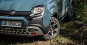 Klienci chcą tanich aut. Fiat zwiększa produkcję Pandy