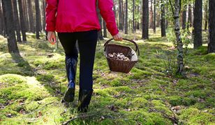 Szokujący internetowy trend. Toksykolog ostrzega