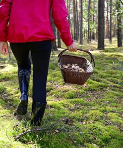 Szokujący internetowy trend. Toksykolog ostrzega