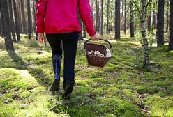 Szokujący internetowy trend. Toksykolog ostrzega