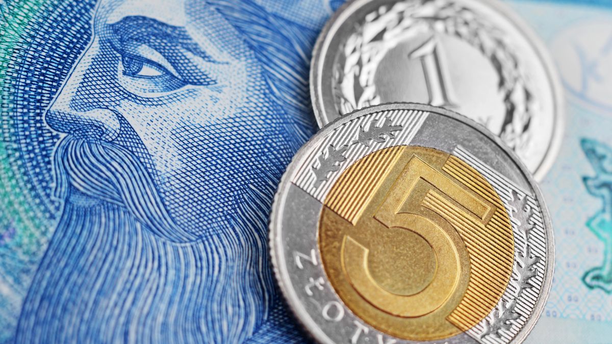 Tomasz Warszewski
zloty, polska, polski, kasa, banknot, podatek, zlotowka, bilon, pit, rachunek, monety, pln, bank, biznes, finanse, inwestycja, kolor, przychód, market, narodowy, papier, podejmowania, powodzenie, waluta, grosz, wymiana, wzór, znak, polskie, banknoty, wynagrodzenie, vat, zakupy, formularz, roczny