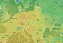 Zaskoczenie w pogodzie. Naprawdę zapowiadają tyle stopni. Już teraz