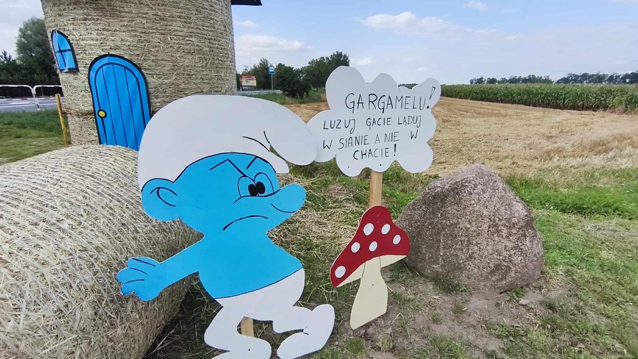 Goślinowo: Smerfna wioska w gminie Gniezno. Po okolicy krąży Gargamel